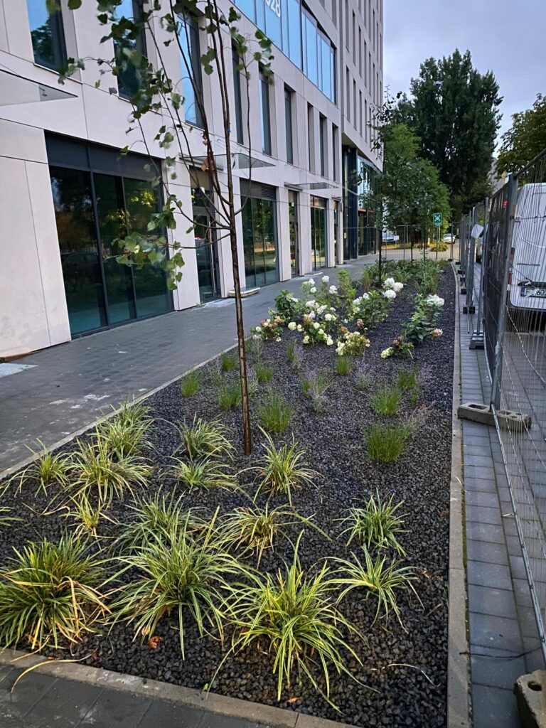 WhatsApp Image 2026-04-06 at 14.43.15 (1)