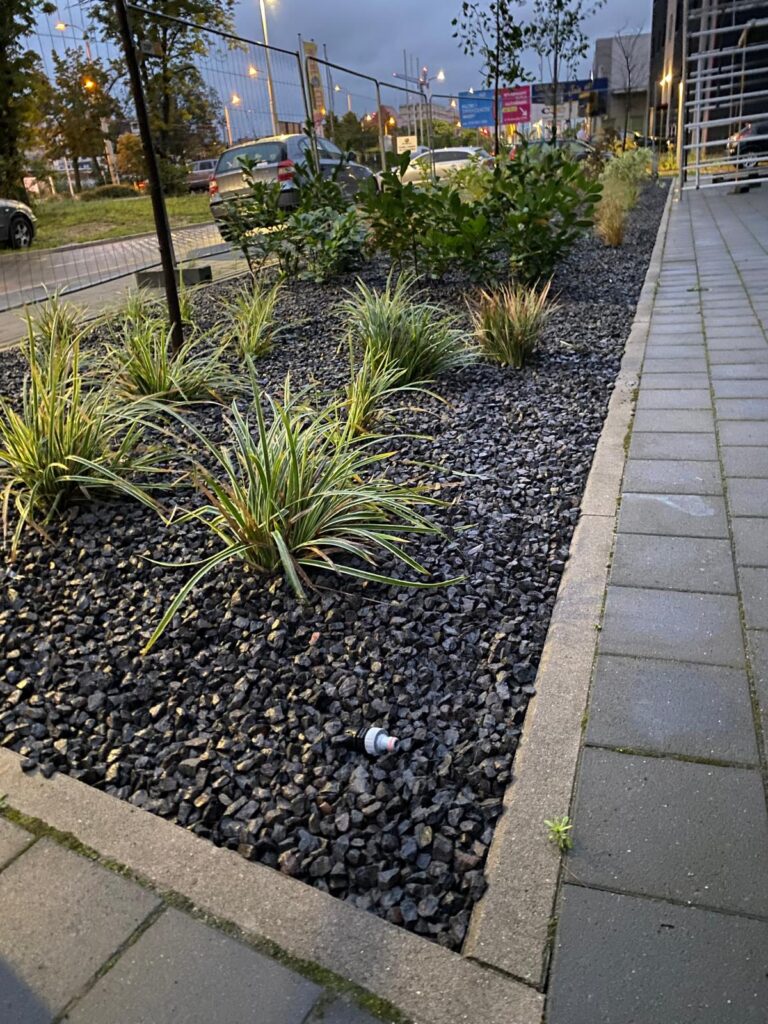 WhatsApp Image 2026-04-06 at 14.43.15 (4)