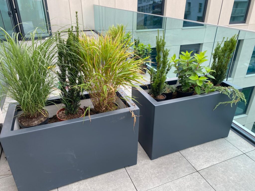 WhatsApp Image 2026-04-06 at 14.43.15 (5)