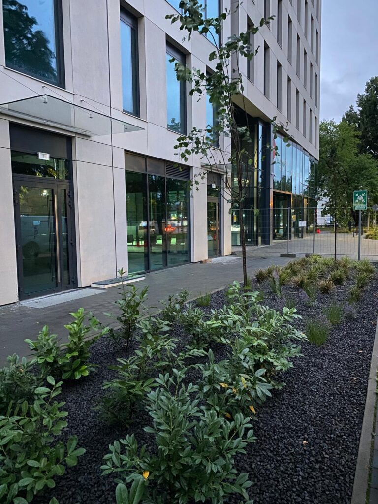 WhatsApp Image 2026-04-06 at 14.43.15