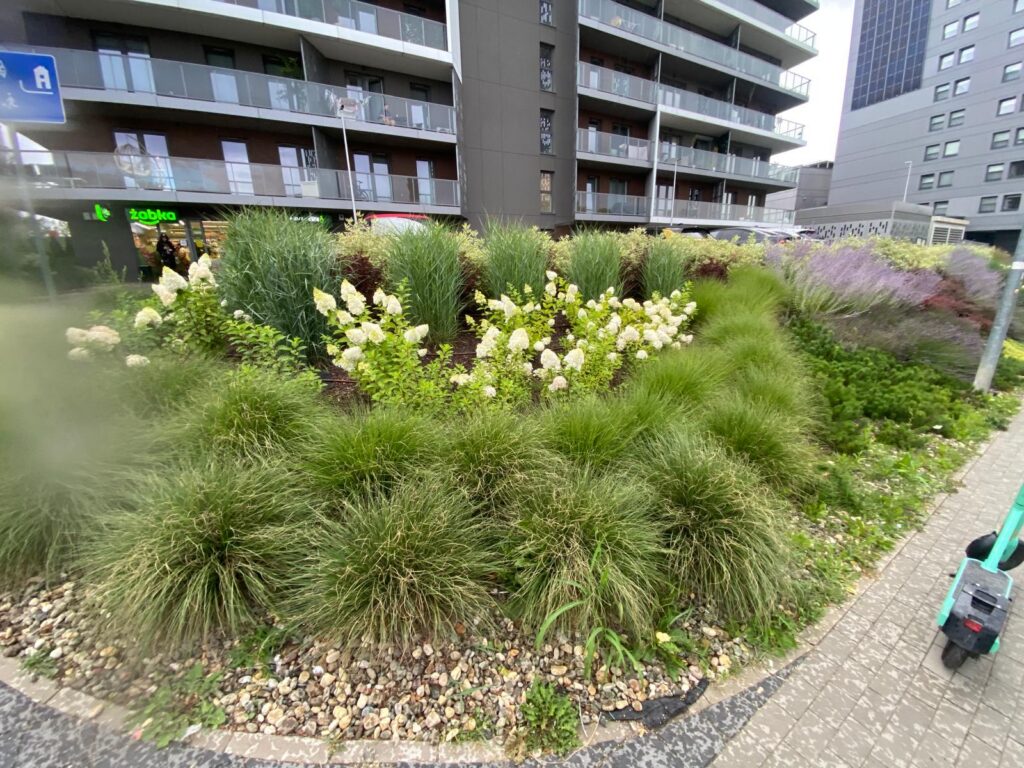 WhatsApp Image 2026-04-06 at 14.44.18