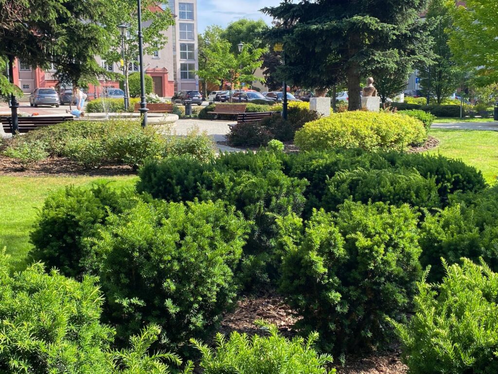 WhatsApp Image 2026-04-06 at 14.46.25