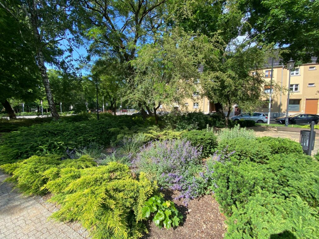 WhatsApp Image 2026-04-06 at 14.46.26 (1)