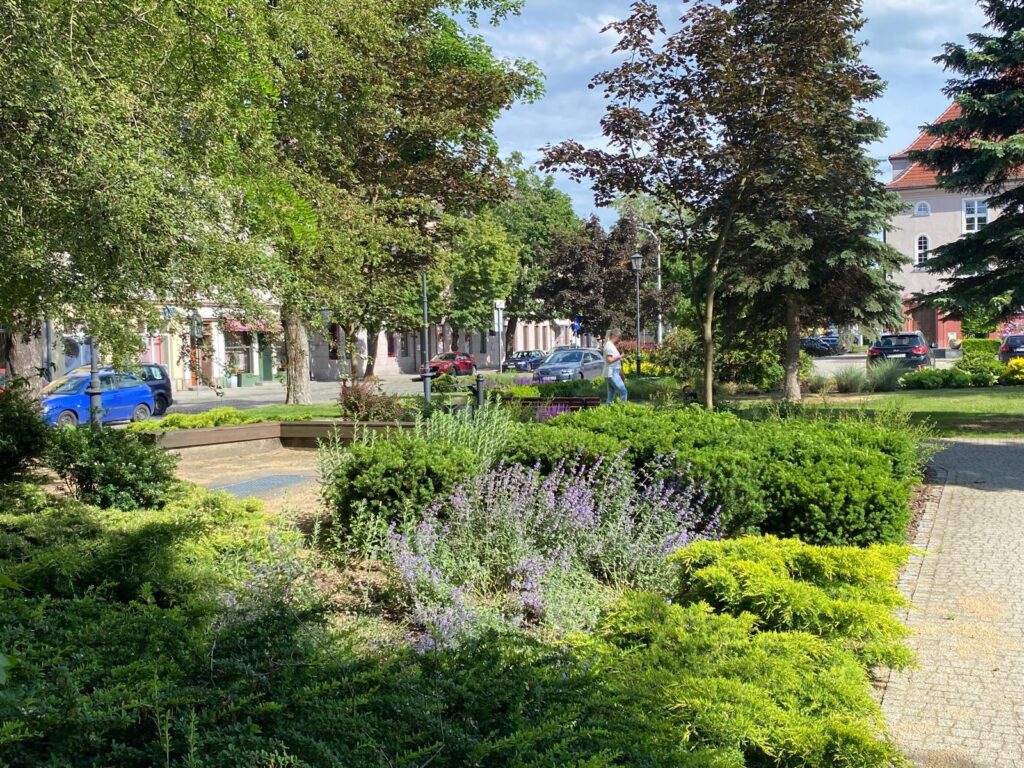 WhatsApp Image 2026-04-06 at 14.46.26