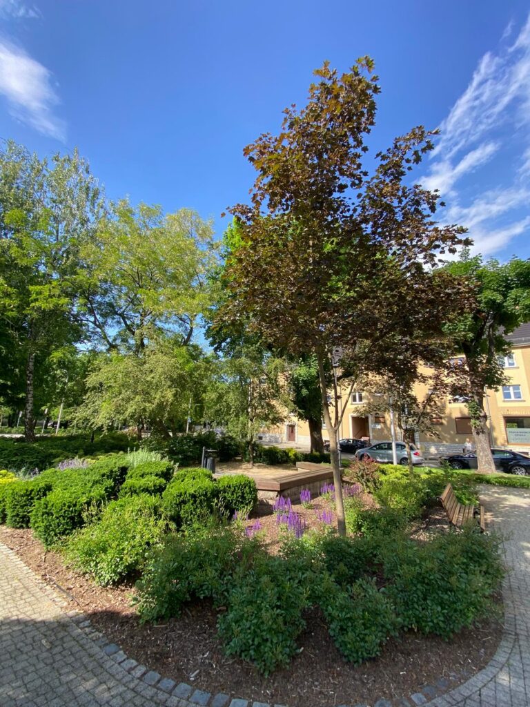 WhatsApp Image 2026-04-06 at 14.46.26 (2)