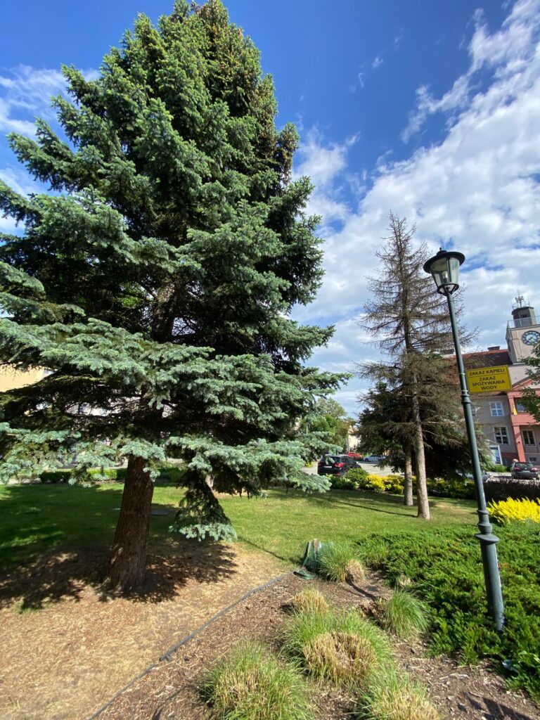 WhatsApp Image 2026-04-06 at 14.46.26 (3)