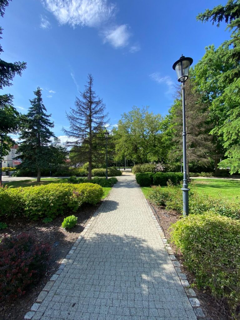 WhatsApp Image 2026-04-06 at 14.46.26 (4)