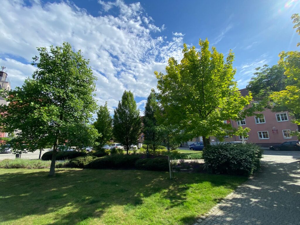 WhatsApp Image 2026-04-06 at 14.46.27 (2)