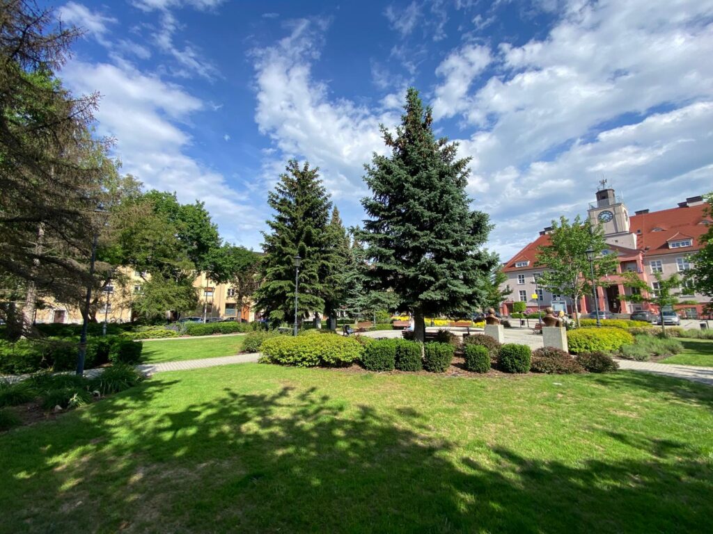 WhatsApp Image 2026-04-06 at 14.46.27 (5)