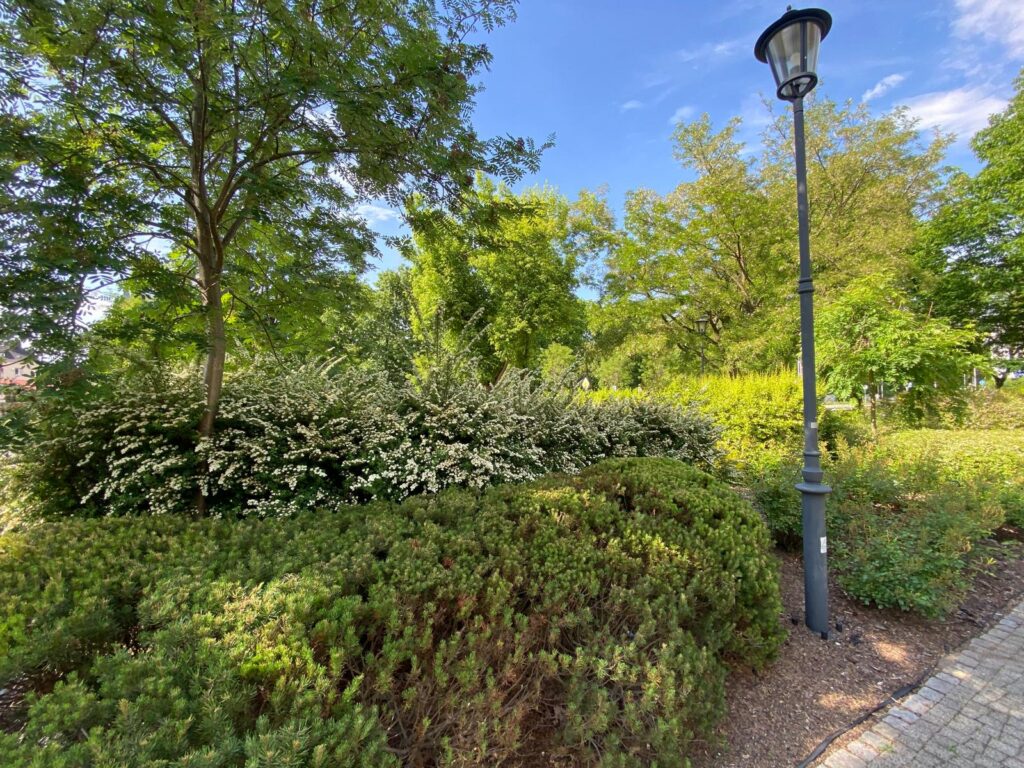 WhatsApp Image 2026-04-06 at 14.46.27 (6)