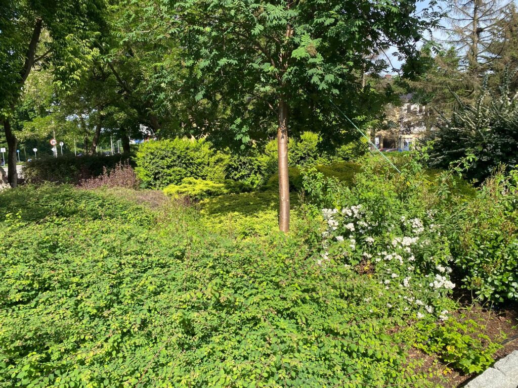 WhatsApp Image 2026-04-06 at 14.46.27 (8)