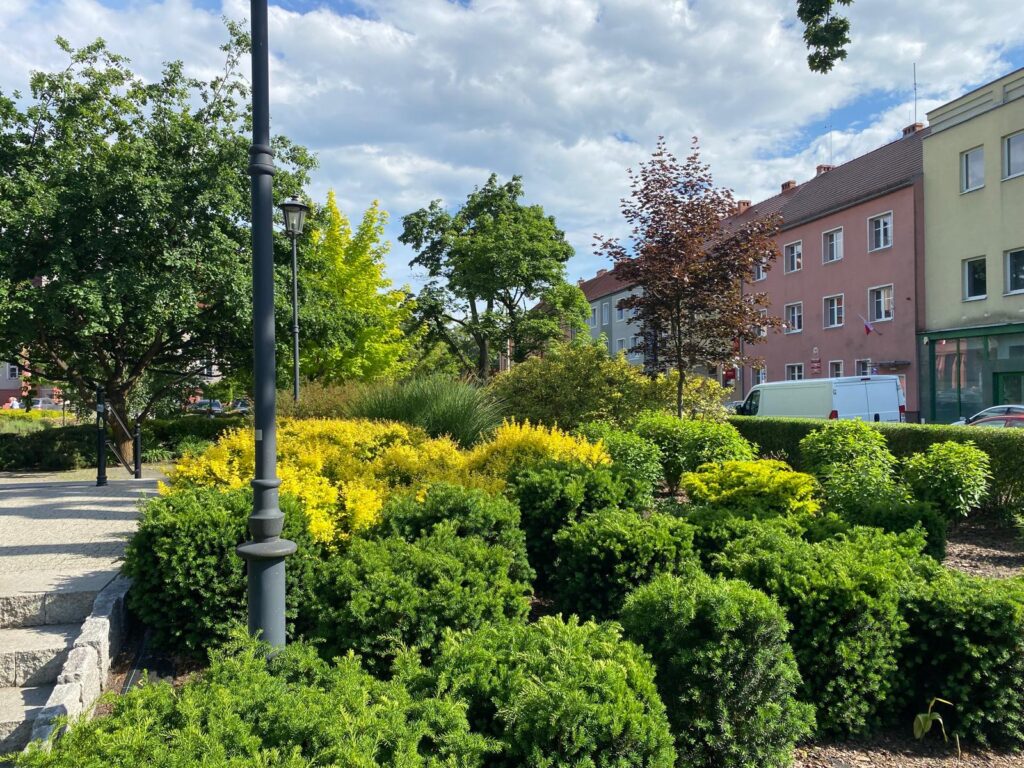 WhatsApp Image 2026-04-06 at 14.46.27 (9)